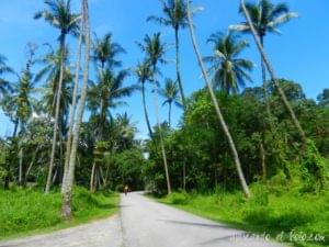 Viajar a Singapur - Pulau Ubin